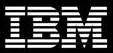 IBM Global Business 